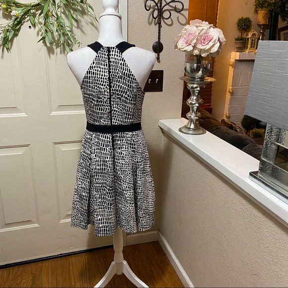 Zola' Print Cotton Fit & Flare Dress By TRINA TURK - Picture 12 of 16